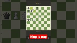 chess kaise khelte hai #shorts #chess
