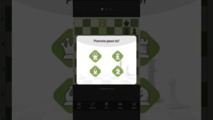 chess kaise khelte hai #shorts #chess