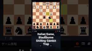 Chess Traps Part2, Italian Game, Blackburne Shilling Gambit #chess #chessgame #checkmate #チェス