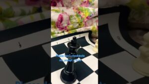 Talking of chess ♟️ pieces he like !!!?