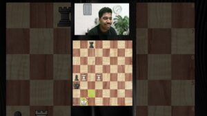 The Dance of Rooks !!! #chess #shorts #viral #stalemate