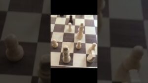 What teachers teach in class,what’s on the homework#chess #chessmeme #schoolmemesforstudents #school