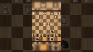 one in the field is not a warrior… #checkmate #chess