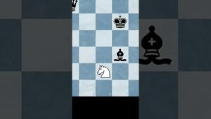 A Knight is Everything | #shorts #short #chess #chessmemes