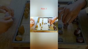 Asian Chess, Part. 1 #chess #magnuschess #chessgame #chessclub #chessboard #livechess