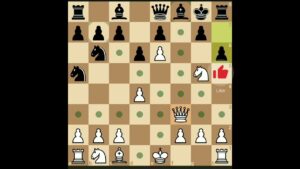 oh! my queen #magnuscarlsen #hikaru #chess #burhanice