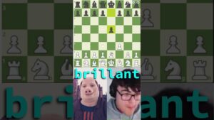 the famous john pork chess opening !!!!!!