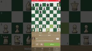 11 total book moves and a win #chess