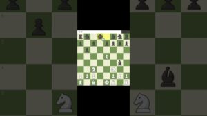 Feeling like I am Hikaru #chess #chesscom #goofy #memes