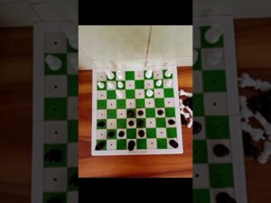 Visually impaired Chess Players beginner practice.