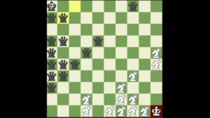 33 Amazon’s vs 35 Queen’s || Fairy Chess #norwaychess #chess #brilliant #bakamitai #chess#shorts