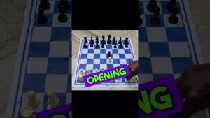 Common Mistakes every Beginners should Avoid in Chess Part 2 – HTG CHESS