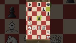 Double brilliant #chess #chesslove #chessgame #chessnerd #chesstv #foryou
