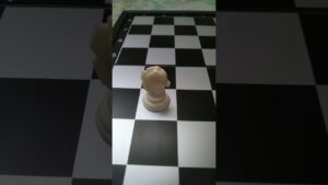 If chess pieces could talk. (Part 1)