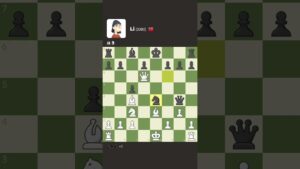 蕭氏西洋棋 中級下法 參考7 Queen Chess