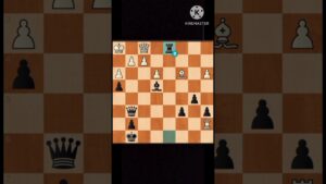 Brilliant move in chess !!