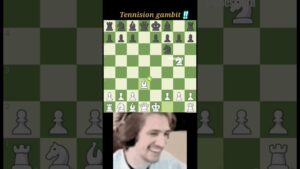 Brilliant queen #chess