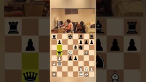 Checkmate #chess #checkmate