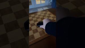 Placing a mouse on a chess board.