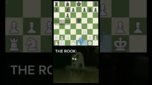 The rooooook! #viral #chess #shortvideos #shortsviral #trending #rook #shorts #shortsfeed #cat