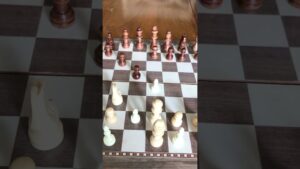 WIN Chess in 5 Moves! | Smothered Mate #chess #rook #chessgame #checkmate #chessopening