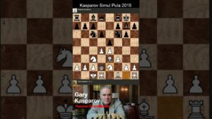 Wonderful Checkmate by Gm Gary Kasparov in 20 Moves #kasparov #chess