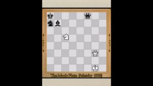 #brilliant chess. #game #fide #chess #usa #china #beautiful #russia #strong #india #world #great