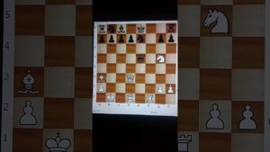 Black king mate#chess#