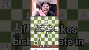brilliant checkmate #chess #carlsen #india #us #brazil #russia #israel