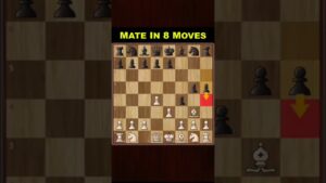 #chess |the best  chess teacher👨‍🎓 |subcribe | #viral