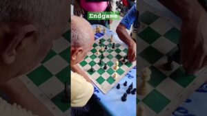 Endgame #chess #shorts #danyanchess