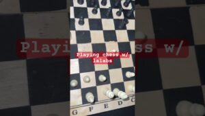 Playing chess w/lalabs