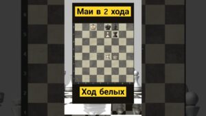 Telegram: Albinachess #chess #шахматы #chorts