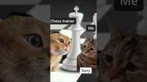 chess memes