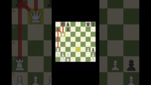 Bobby doesn’t need a Queen 💎 #chess