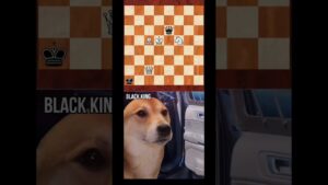 Brilliant ‼️‼️#chess#trending #viral #chessgames #chessmaster #tactics #shorts #shortsfeed