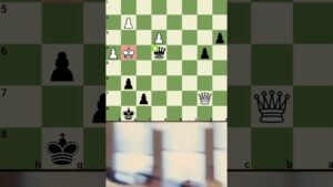 Oh sh*t.. brilliant move #chess #reels #chesstraps #shortvideo #checkmate #shortsfeed #shorts #trap