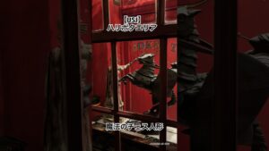 【USJ】ハリポタエリア/魔法のチェス人形 #ユニバーサルスタジオ #ハリポタ #ハリーポッター #harrypotter #超元気特区 #universalstudio #usjファン #チェス