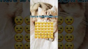 #emojiquizz #emoji #chess #emojiquizes #emojipuzzlechallenge