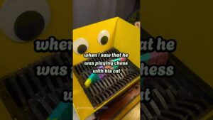 Cat playing chess 😂 #story #funnystories