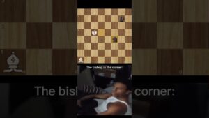 I think the bishop was sleeping 🤣💀 #chess #memes #win