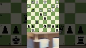 Oh sh*t.. nice move #chess #reels #chesstraps #shortvideo #checkmate #shortsfeed #shorts #trap