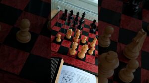 И!?!? ☝🏻 Шахматы — Chess — Schach