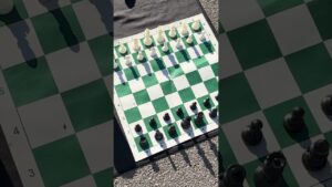Come on Down to the Swap Meet – Chess #humor #comeondown #swapmeet
