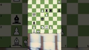 Oh sh*t.. nice move #chess #reels #chesstraps #shortvideo #checkmate #shortsfeed #shorts #trap