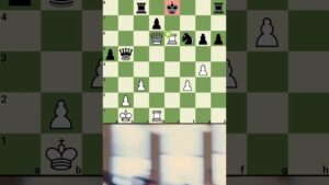 Oh sh*t.. nice move #chess #reels #chesstraps #shortvideo #checkmate #shortsfeed #shorts #trap