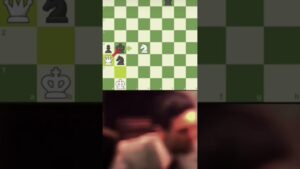 #chess #reels #memes #stopwar #mma #king #bjj #chessgame #brilliant#jiujitsulifestyle #jiujitsu
